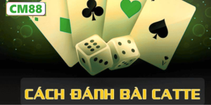 Giới Thiệu Tổng Quan Về Nguồn Gốc Của Bài Catte