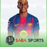 the-thao-icon